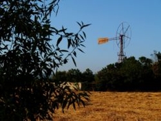 Ibiza Landschaft