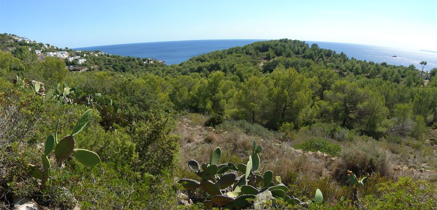Blick auf Roca Llisa und die umgebende Landschaft Ibizas