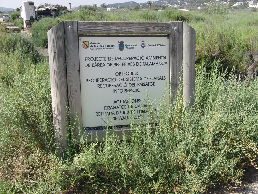 Feuchtgebiet bei Ibiza-Stadt in Ses Feixes